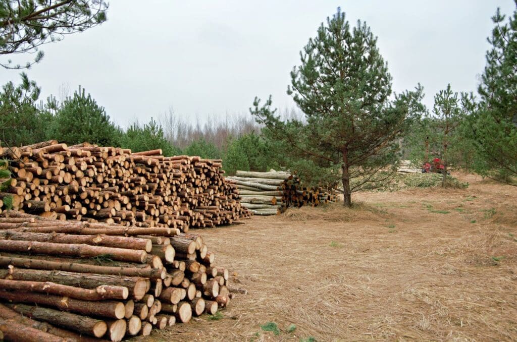 Construcción casas de-madera sosteniblecon madera certificada FSC y EUDR